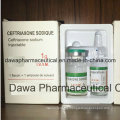 OEM Finished Medicine Pneumonia Treatment 0.25g Ceftriaxone for Injection